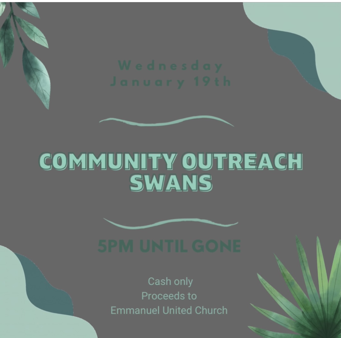 Community Outreach Swans