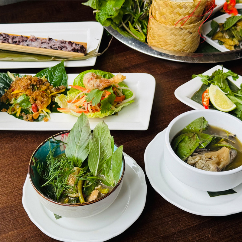Udon Dish 5
